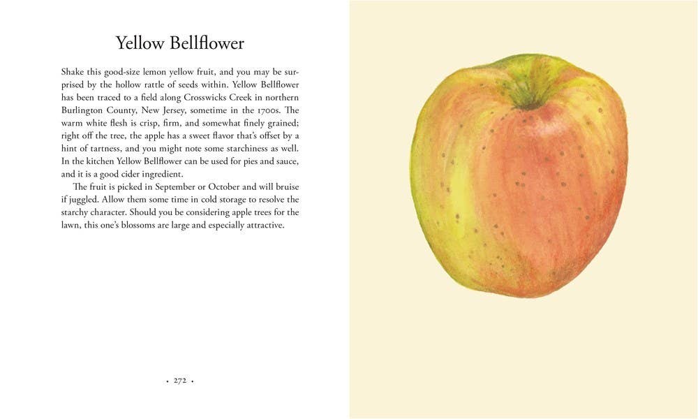 Apples Book