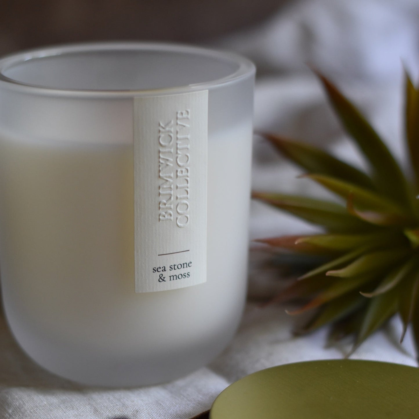 Seastone & Moss Candle