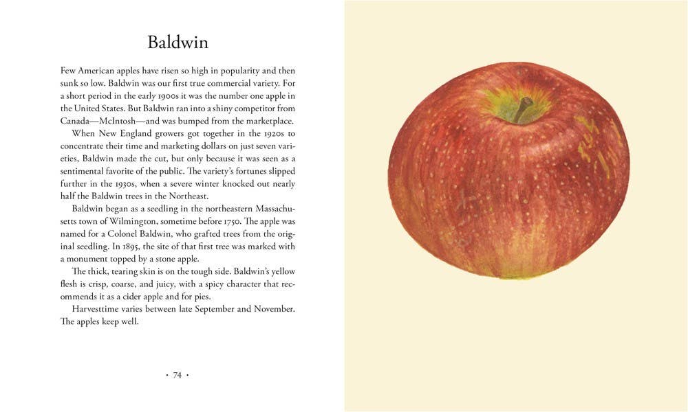 Apples Book
