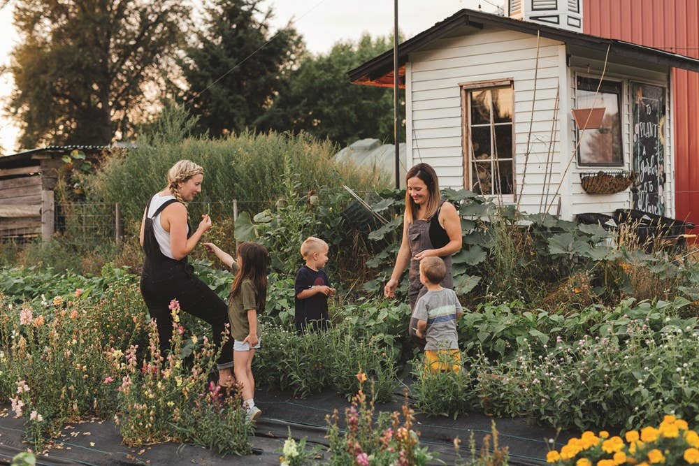 Drink Your Garden Book