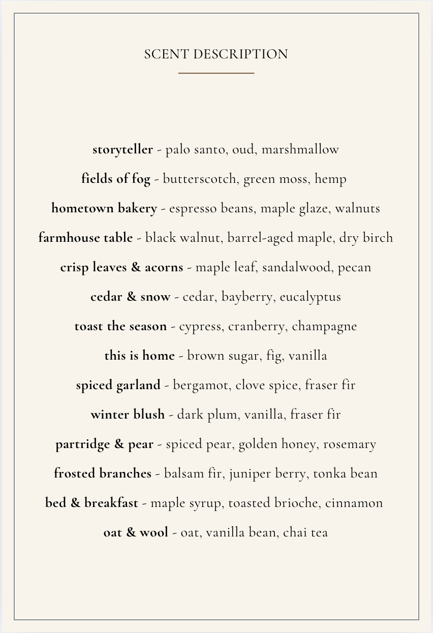 Hanging Car Diffuser