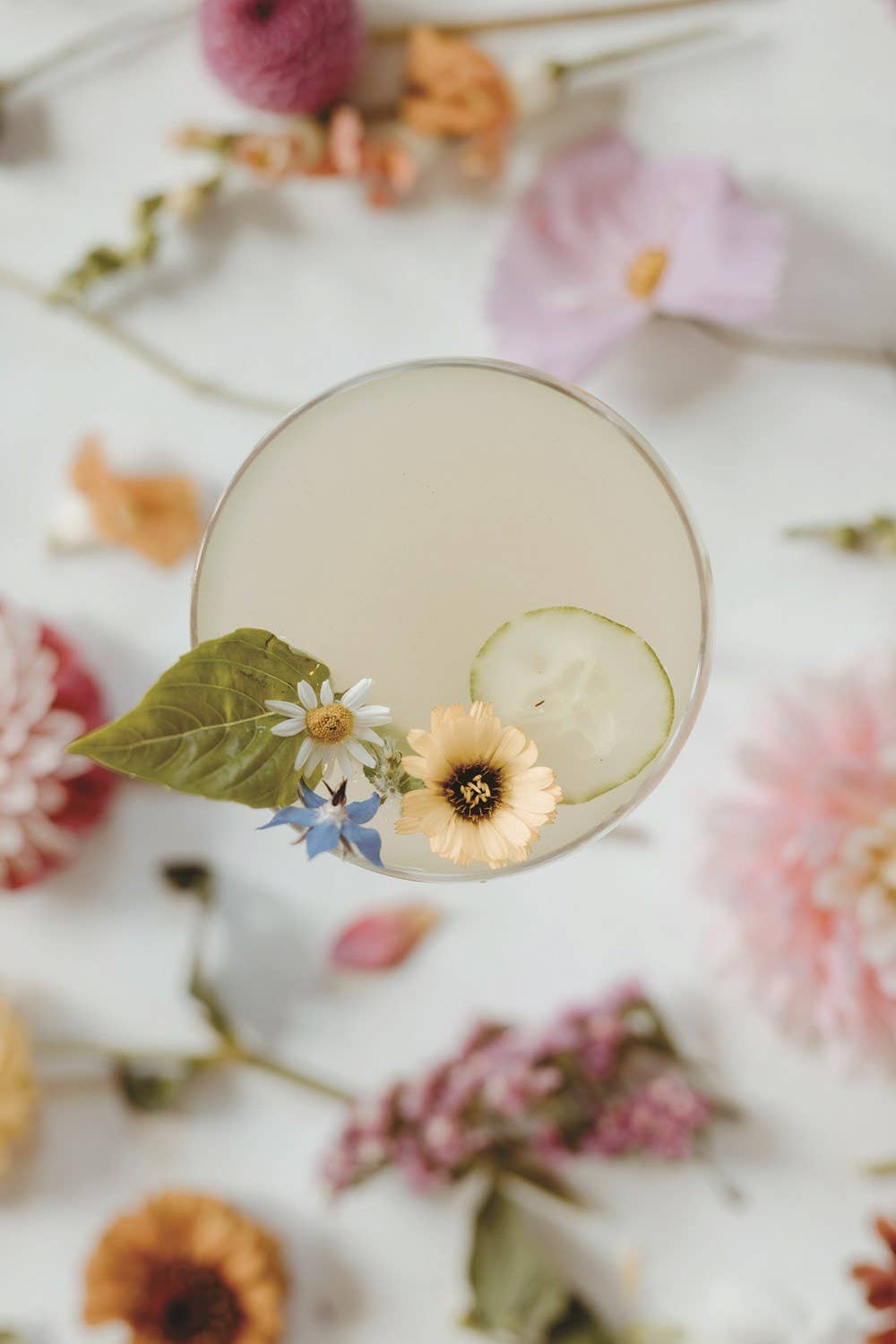 Drink Your Garden Book
